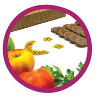 insideeachbox-icon01.png