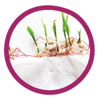 insideeachbox-icon03.png