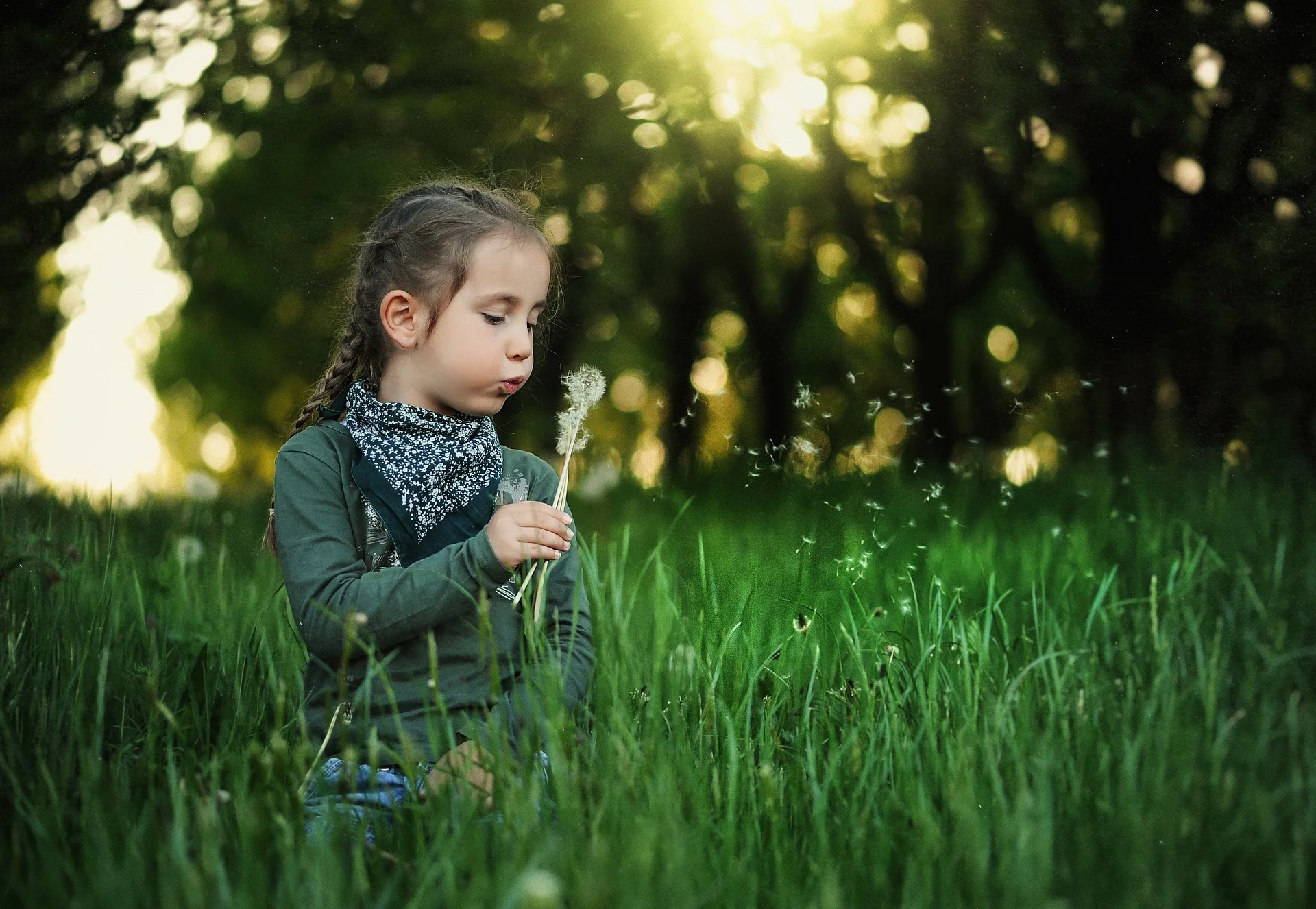 4 Ideas for a Nature Filled Day