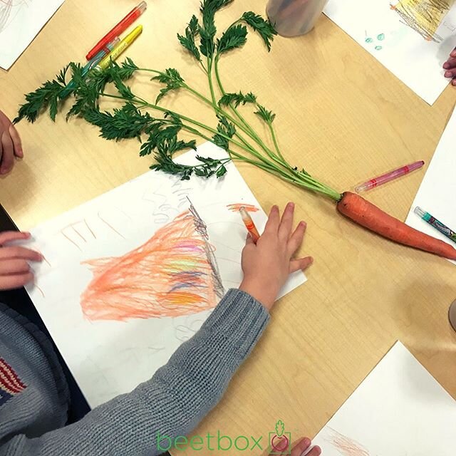 Does it get better than this!? Art + science = fun! 🎨 🧪 🥕Learners at Children&rsquo;s All Day School show off their drawing skills while memorizing the parts of a plant - in this case - a carrot! Join the Green STEAM fun &mdash;-&gt; link in bio .