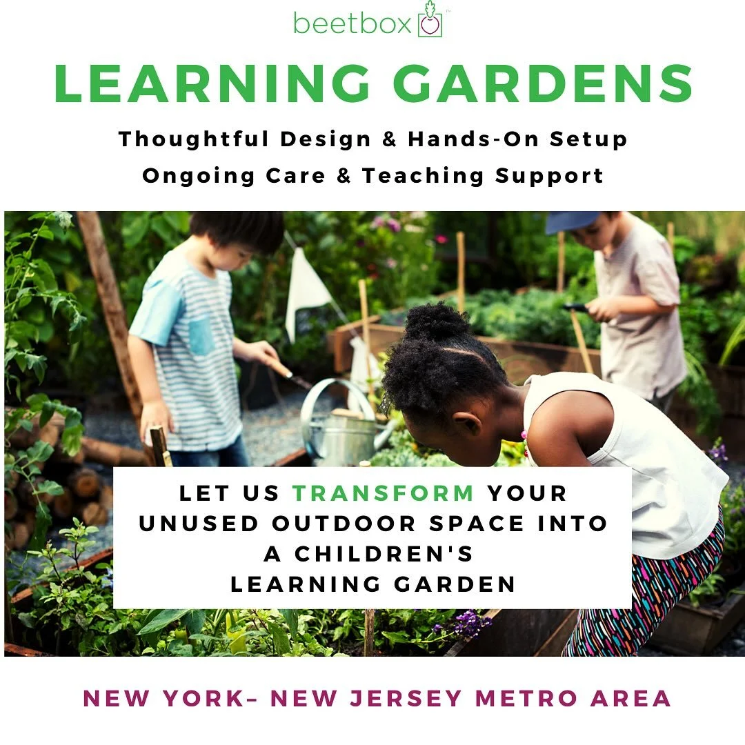 Have a patch of concrete, a sunny corner, or an unused rooftop? We turn overlooked spaces into thriving learning gardens where kids plant, play, and grow. Beetbox is booking fall installs now &mdash; no space or budget too small to spark something bi