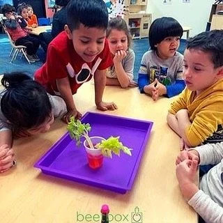 Does your After School Program need a ⭐️ 🌱 refresh 🌱 ⭐️?? We can help! Engaging, creative, sensory filled fun with loads of impact! Sign up now for Spring, our spots go quickly! 🎨 🌱 LINK IN BIO

.
.
.
.

#afterschool #kids #education #seedtotable