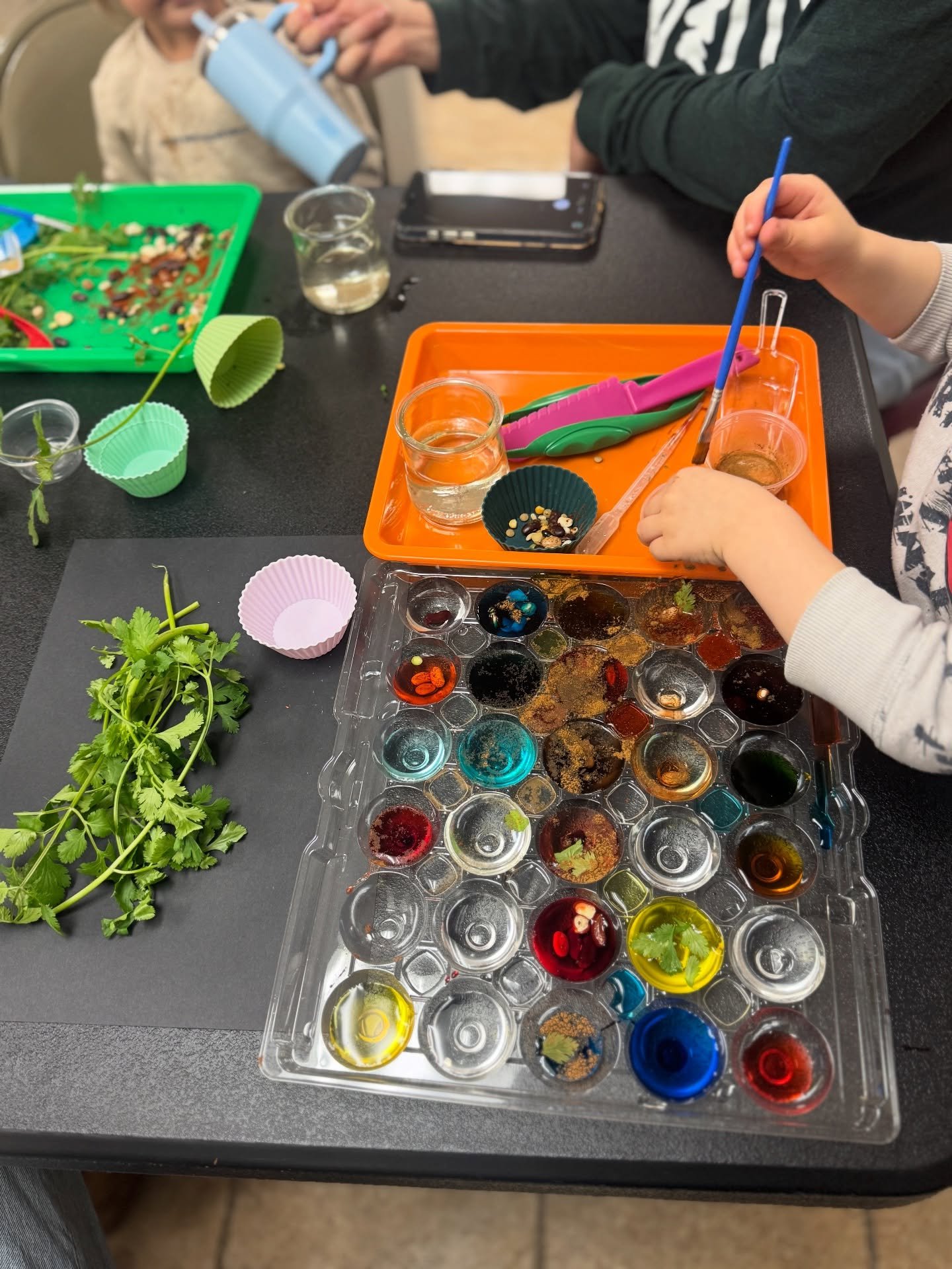 Today at @roots_wings_academy , we had &ldquo;free play&rdquo;! 🌱 🧪 That means no instructions, no end goal, no &ldquo;right way.&rdquo; Children had access to simple, real materials: water, herbs, seeds, droppers, knives, spices, tweezers, jars, m