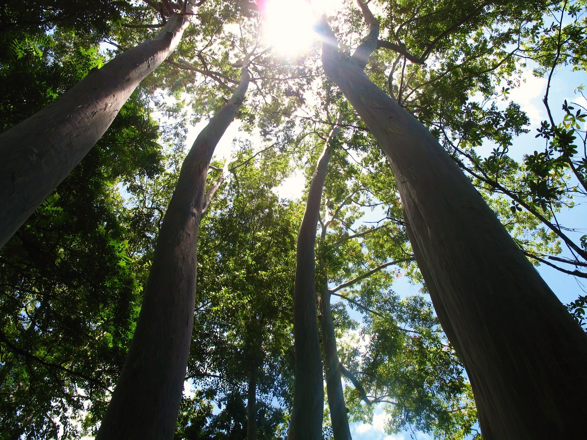 Summer 2010 259b.jpg
