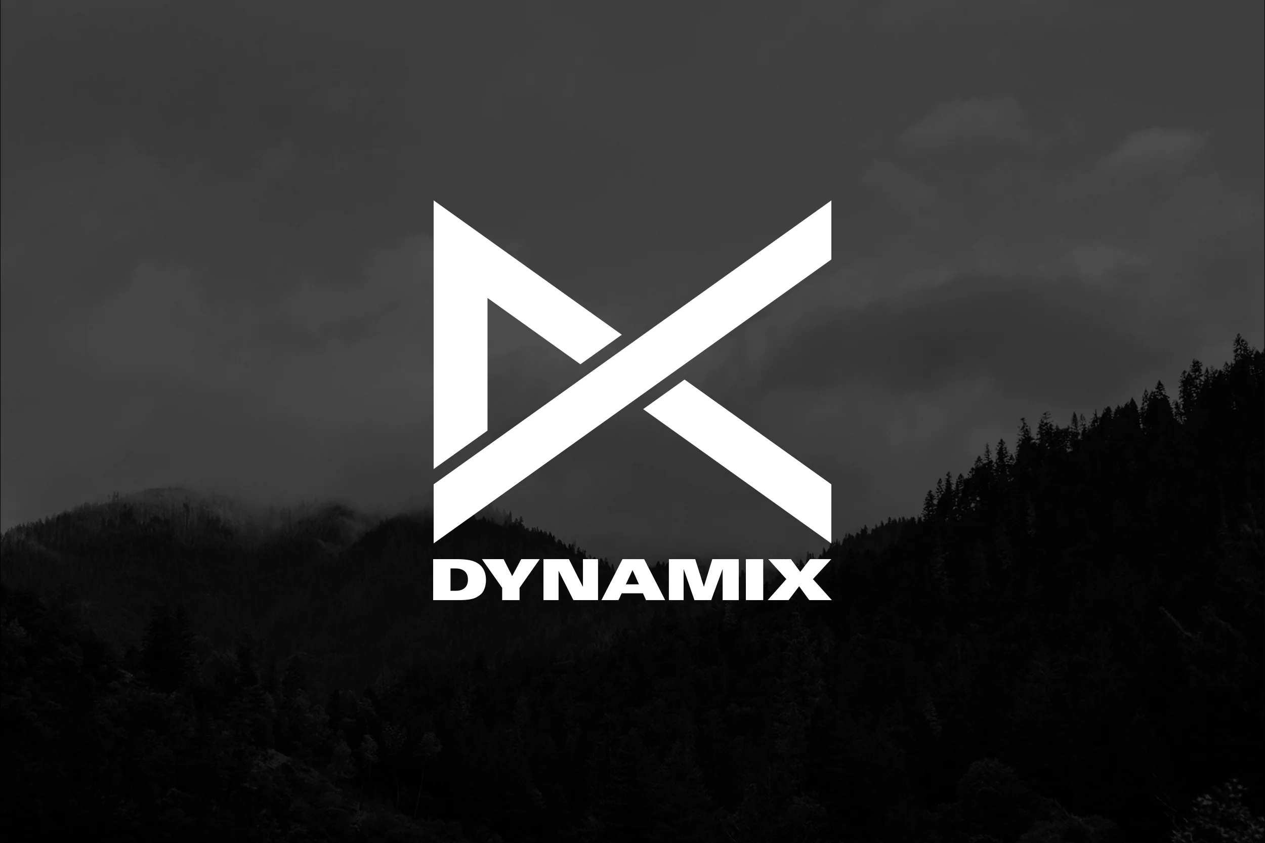 Dynamix-Brand-Identity.006.jpeg