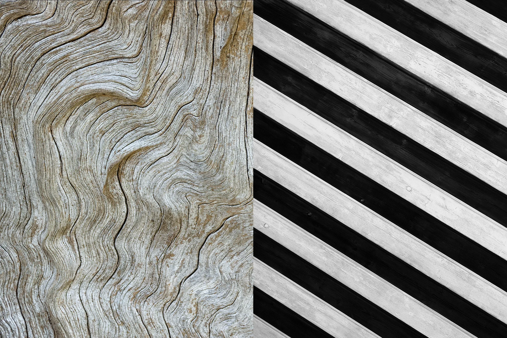 McGahon-Architecture-Identity-05.jpg