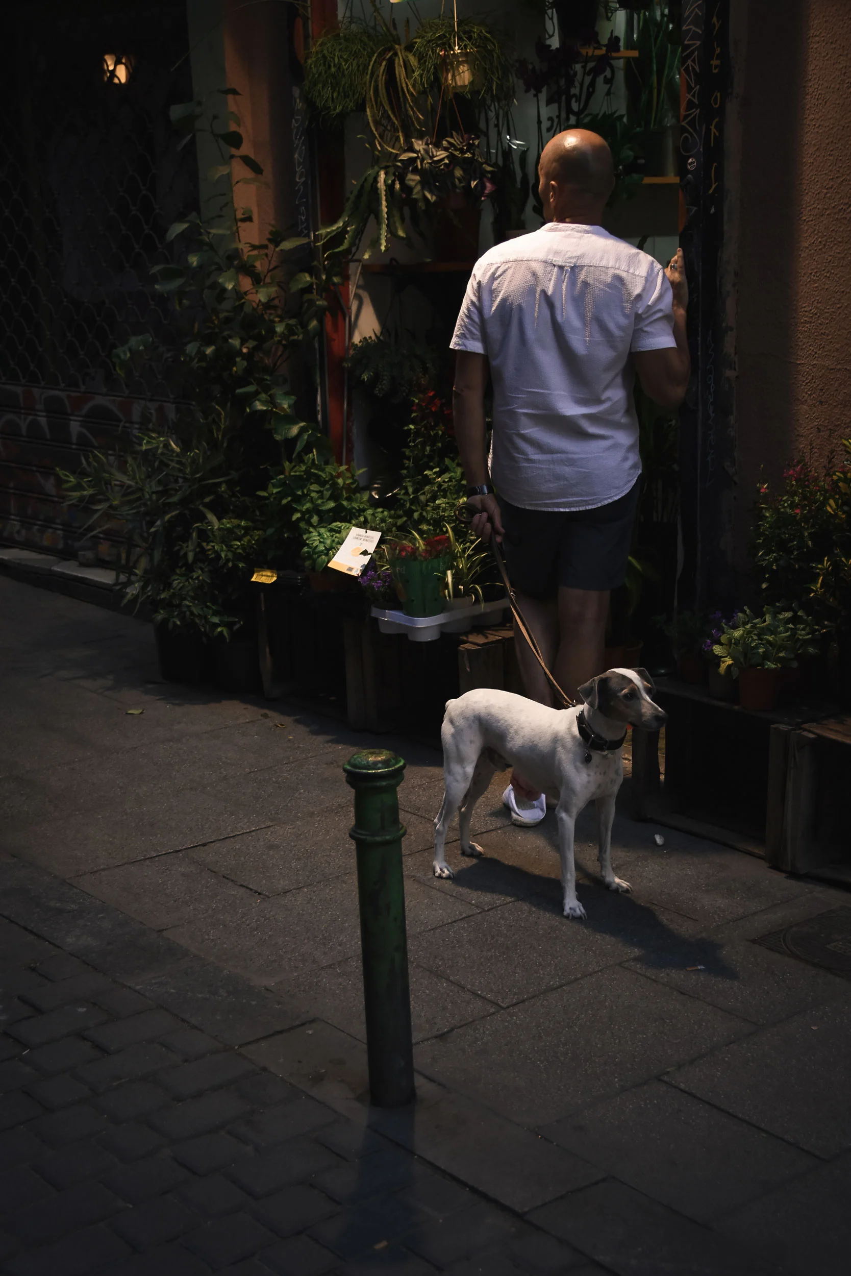 DSC_2725.jpg