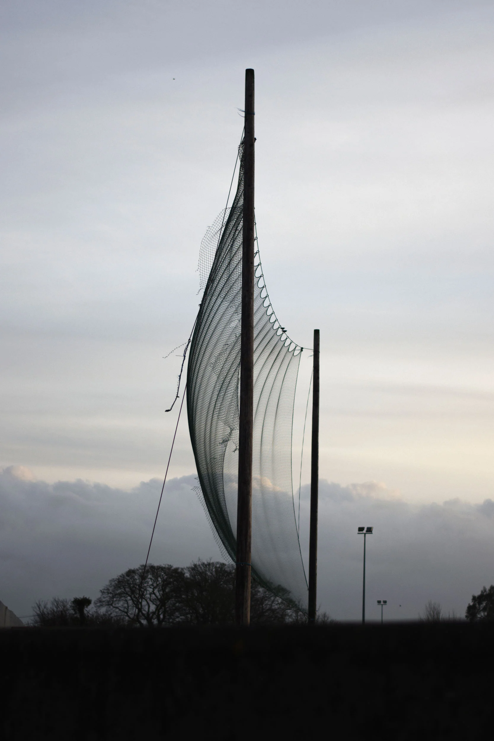 DSC_5513.jpg