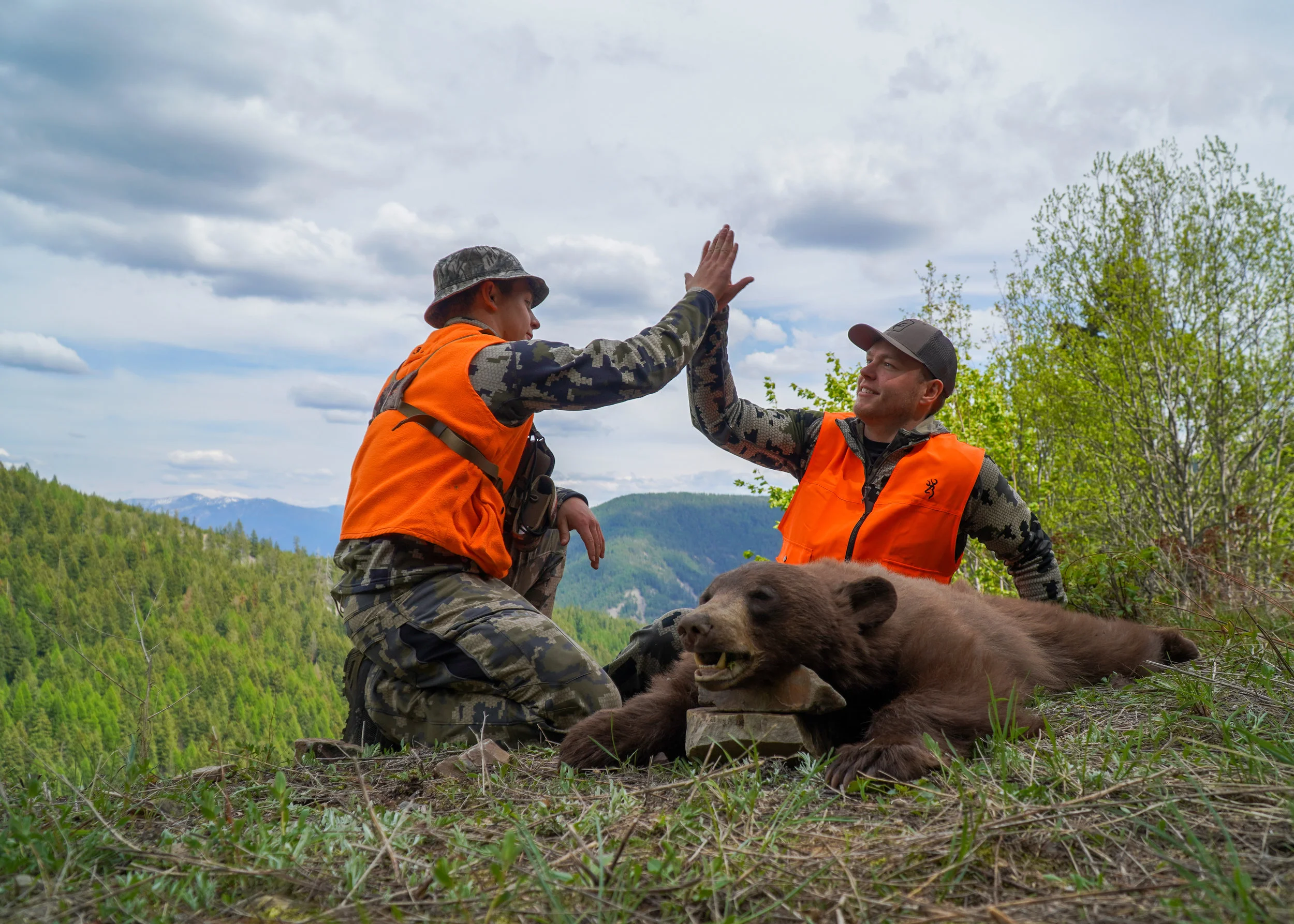 A Successful DIY Self Guided Montana Spring Bear Hunt