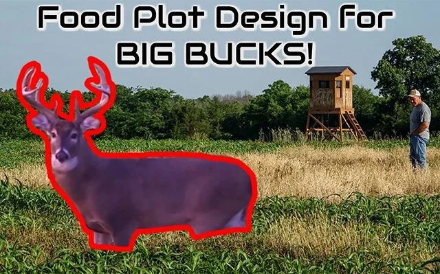 New video just went LIVE on our channel! Link in bio. -
-
#brunkoutdoors #hunting #deer #habitatdesign #habitatimprovement #bigbuck