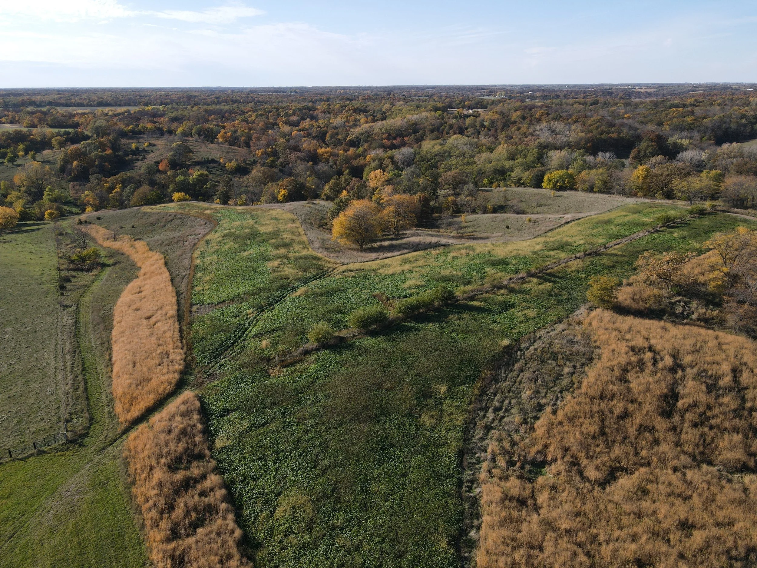 dji_fly_20231022_155702_55_1698008273371_photo.jpeg