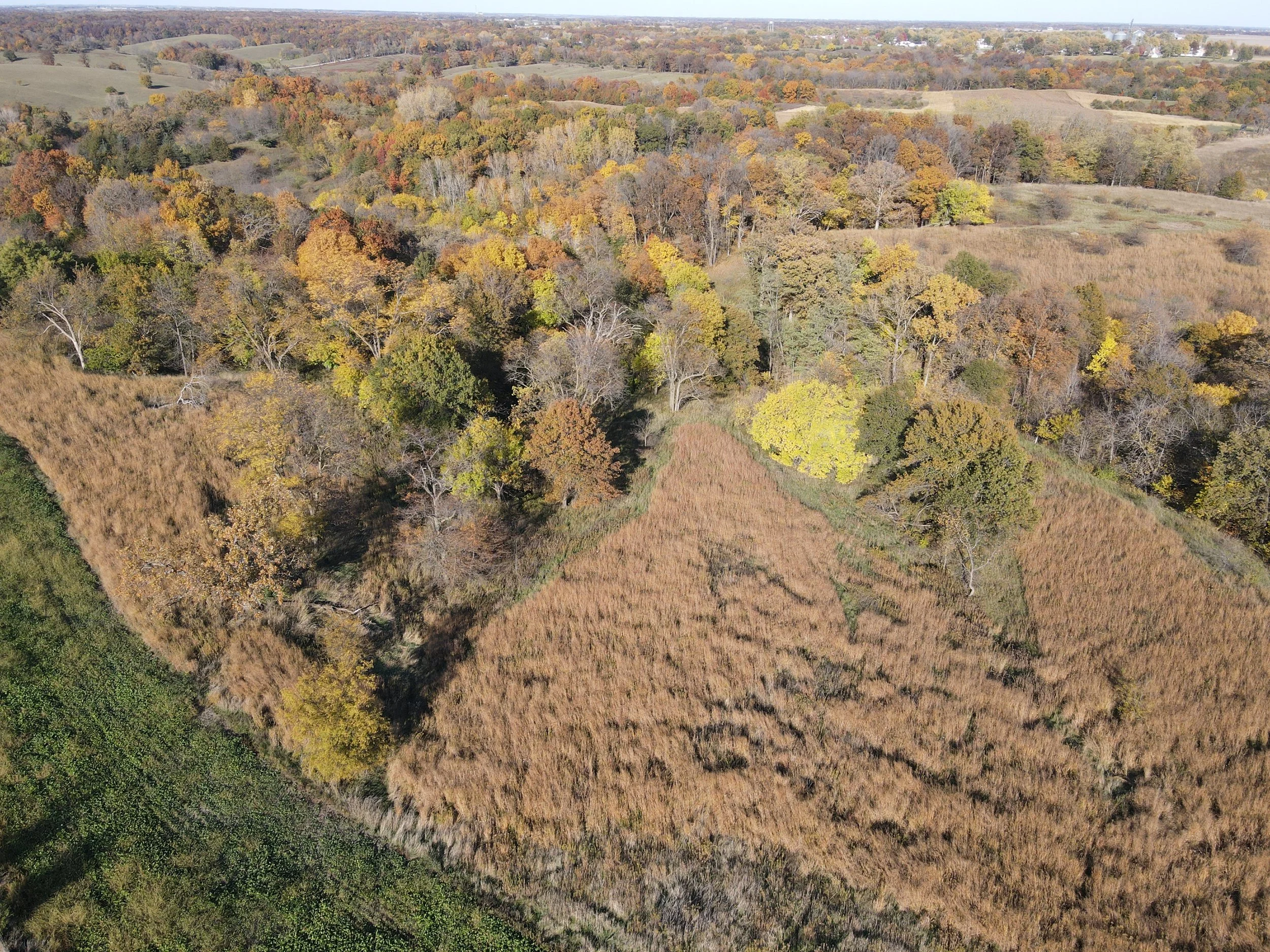 dji_fly_20231022_155726_59_1698008300002_photo.jpeg