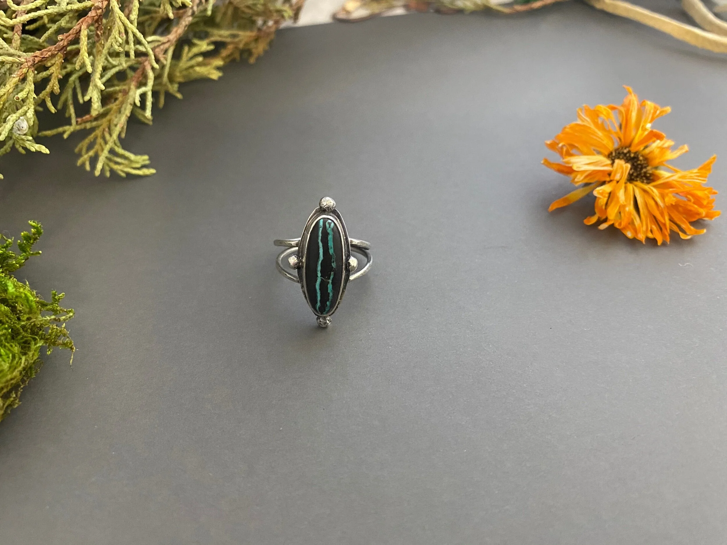 AA2AA679-14E5-40B7-92B7-FFF73A6A284F