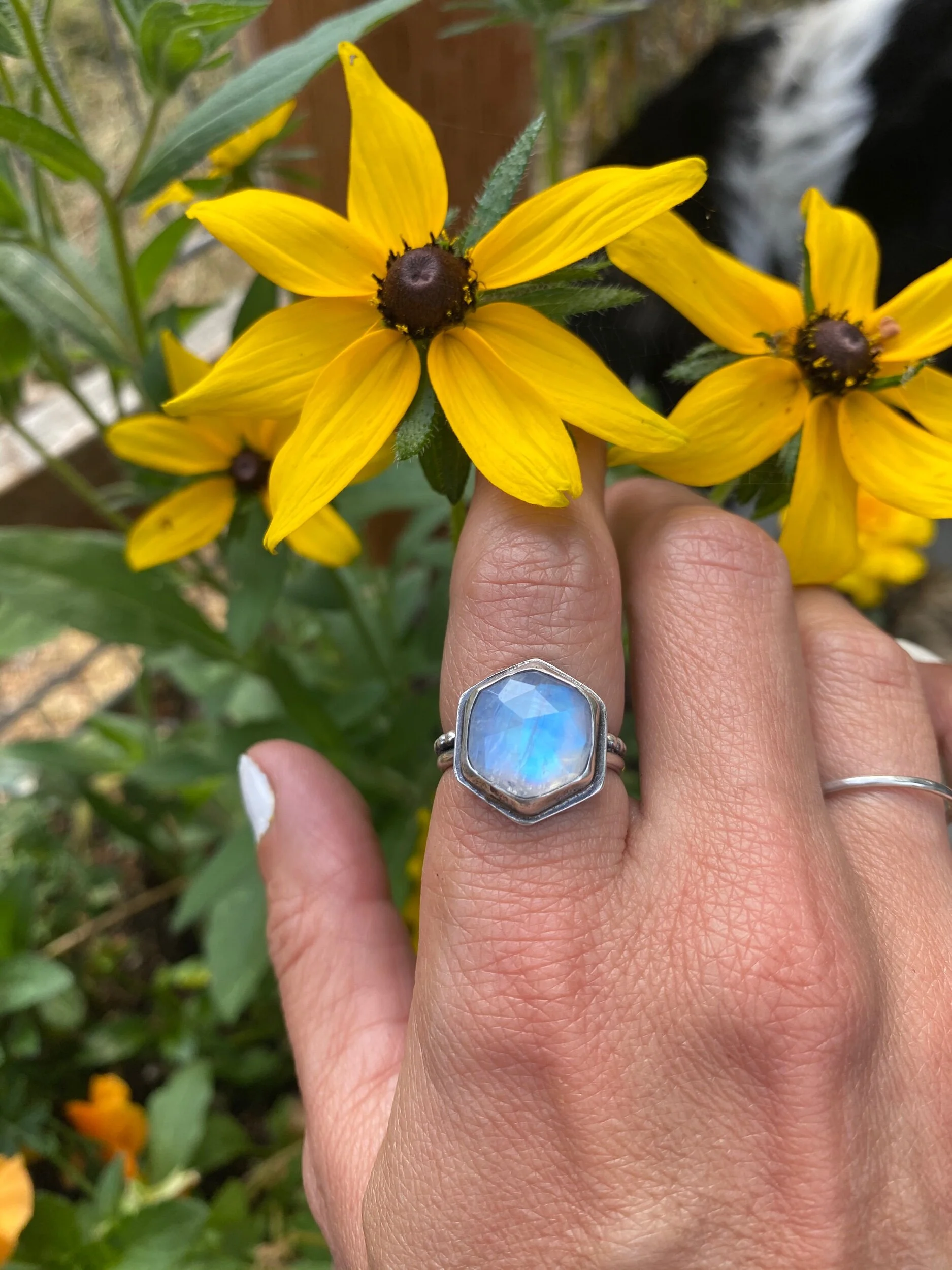 1E7FE8B8-1276-4DC0-9A7B-DC629E1F3D75