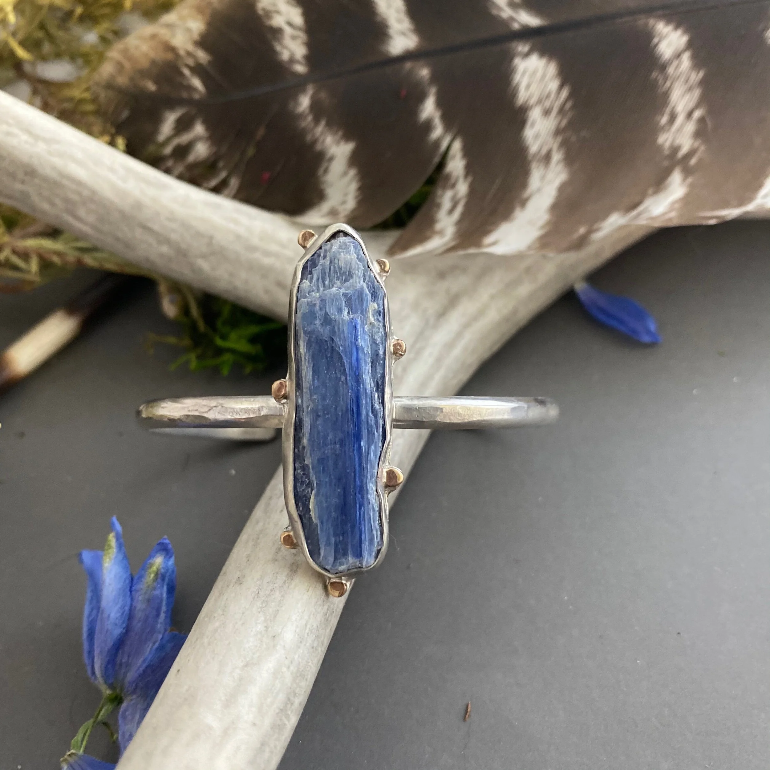 96B08BE7-86CF-4409-8B05-F5AF5AD46CC5