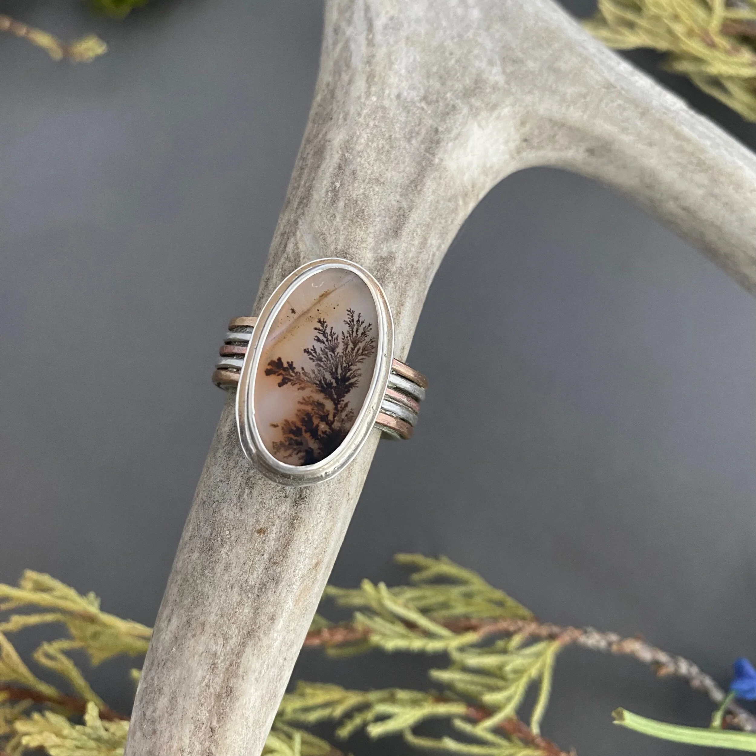 FC59B6CF-8A2C-4D73-A317-9375D9ED6D53