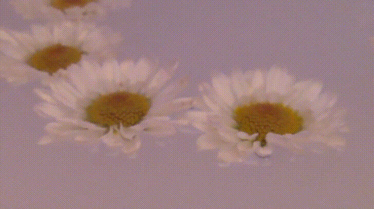 Ot13F2I - Imgur.gif