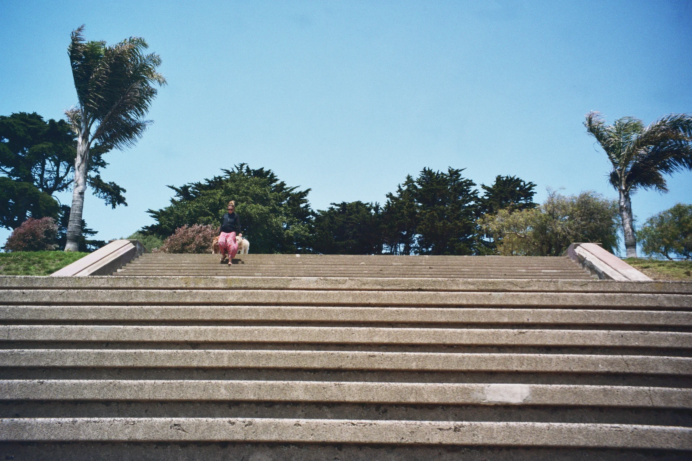 _3A_00117.jpg