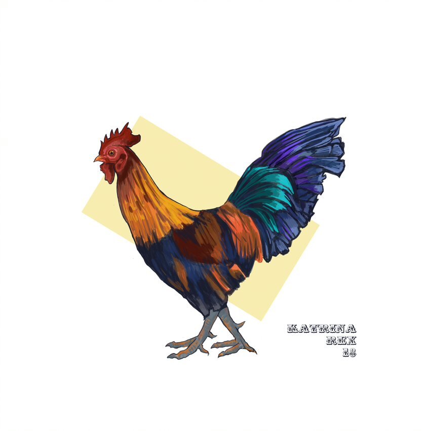 chicken 2-1.jpg