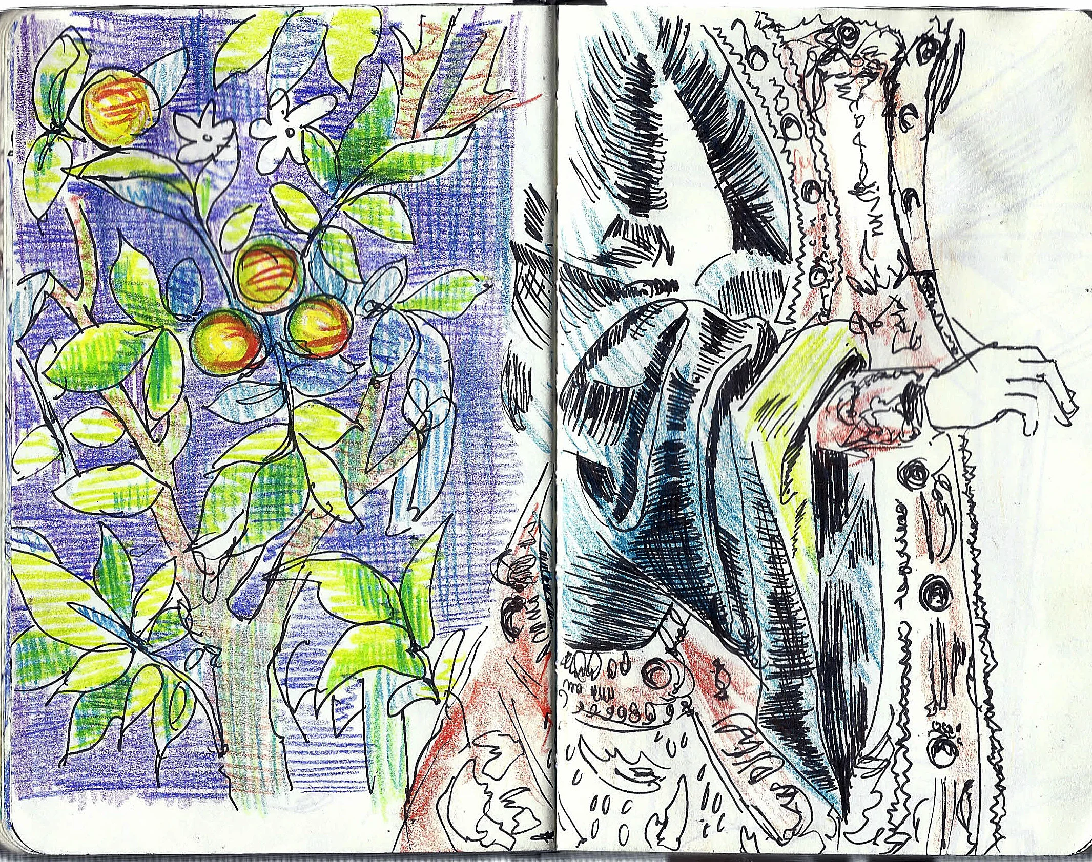 Paris Sketchbook12.jpg