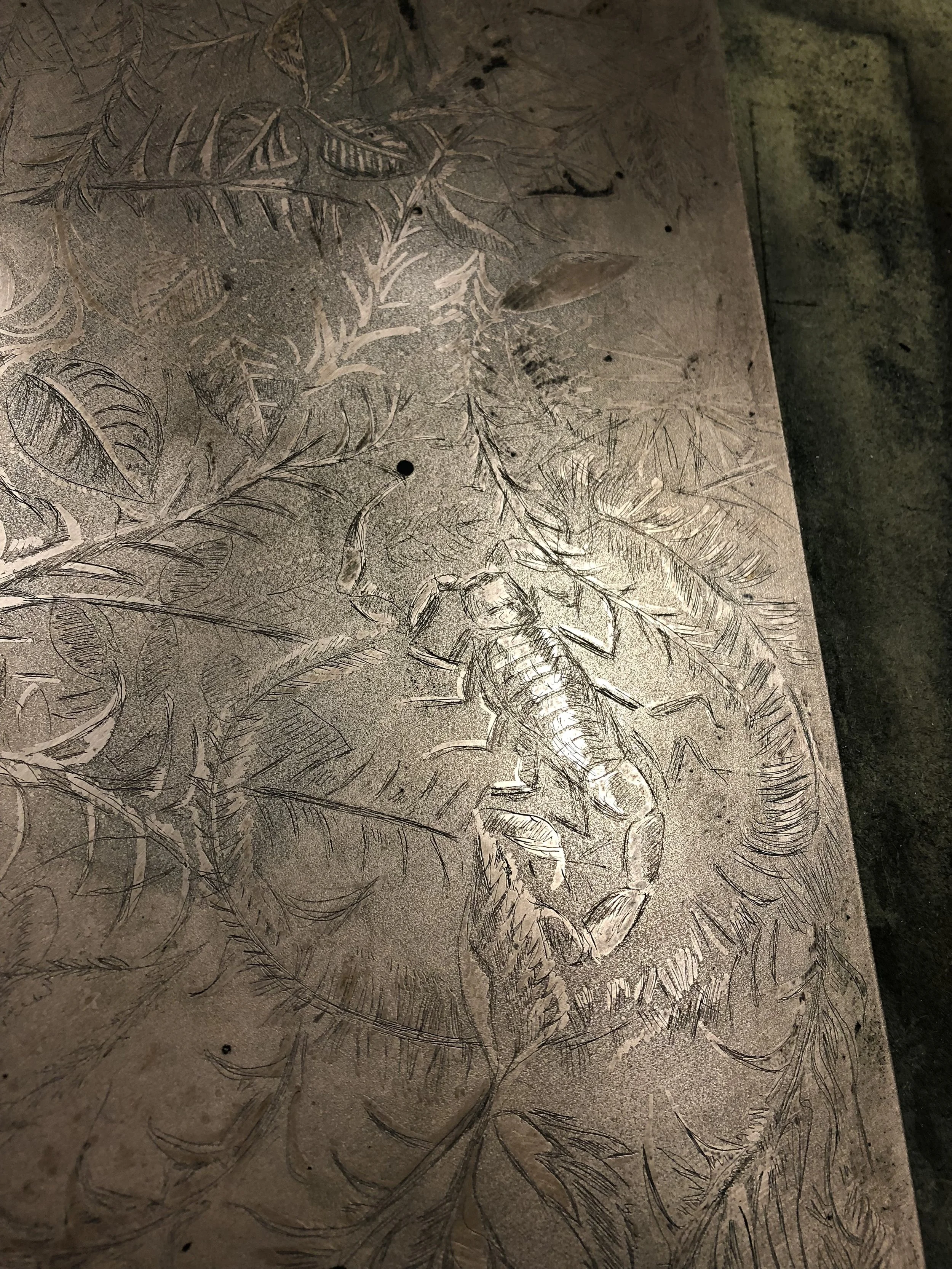 A section of the plate after all 3 phases of etching