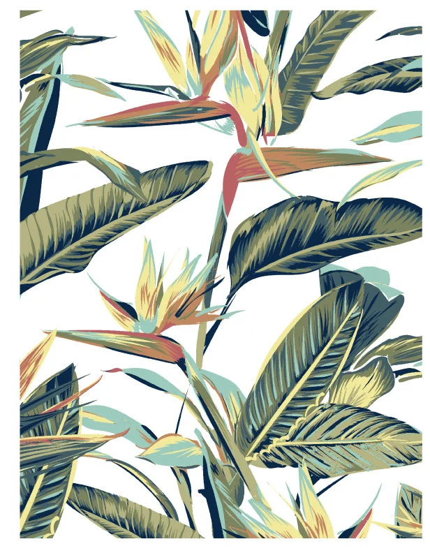 This was a print that took time to make in Illustrator. Birds of paradise were a commonly seen flower for that season.
