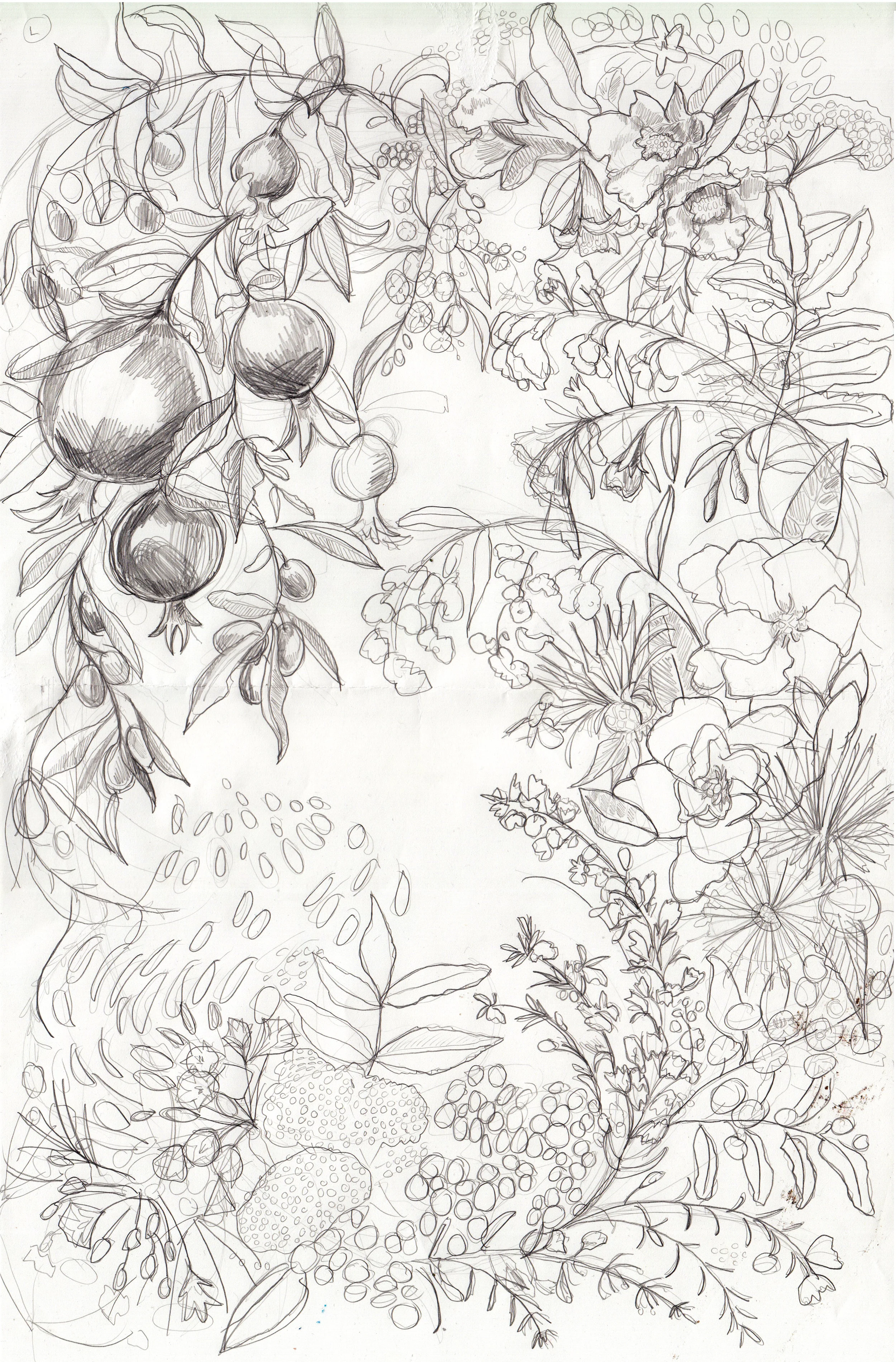 11” x 17” sketch that I then transferred to my copper plate. I purposely sketched this in reverse, knowing that it would print the mirror of this image. Thinking ahead always.