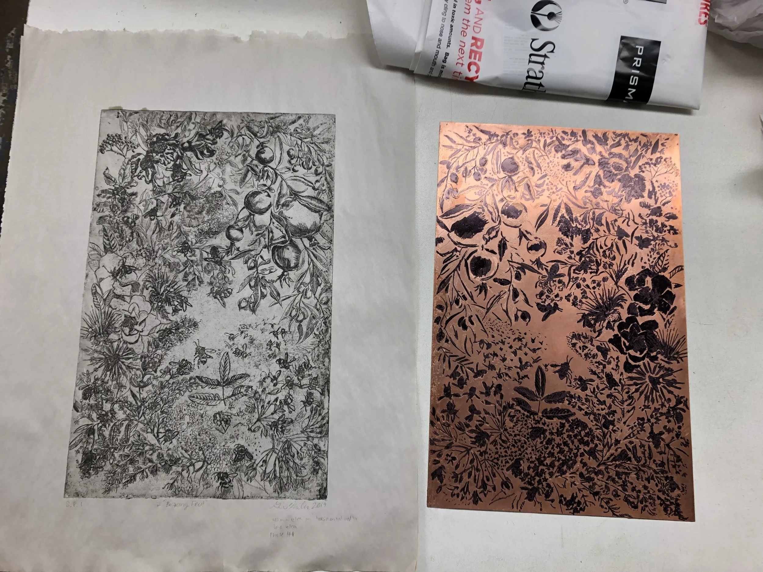 Referencing the previous print for knowing what I want to save with highlights in the aquatint steps, which I follow for each phase.