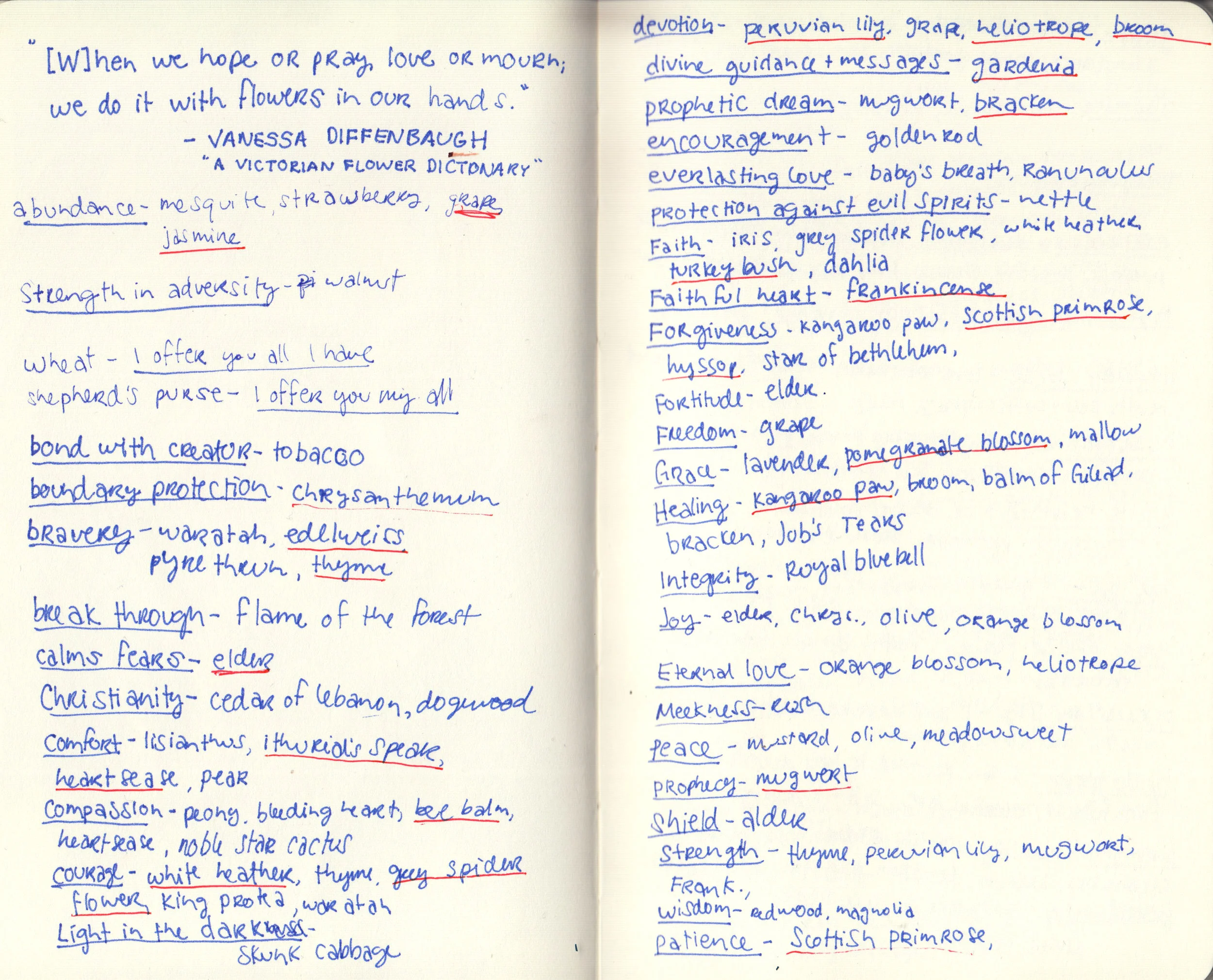 BearingFruit_Sketchbook1.jpg