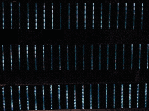Comp_3.gif