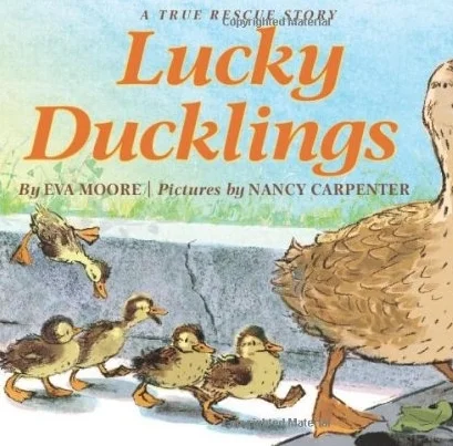 lucky ducklings.jpg