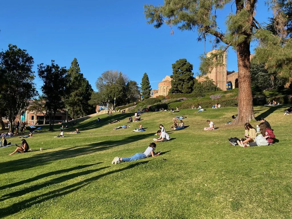 Students on UCLA's lawn