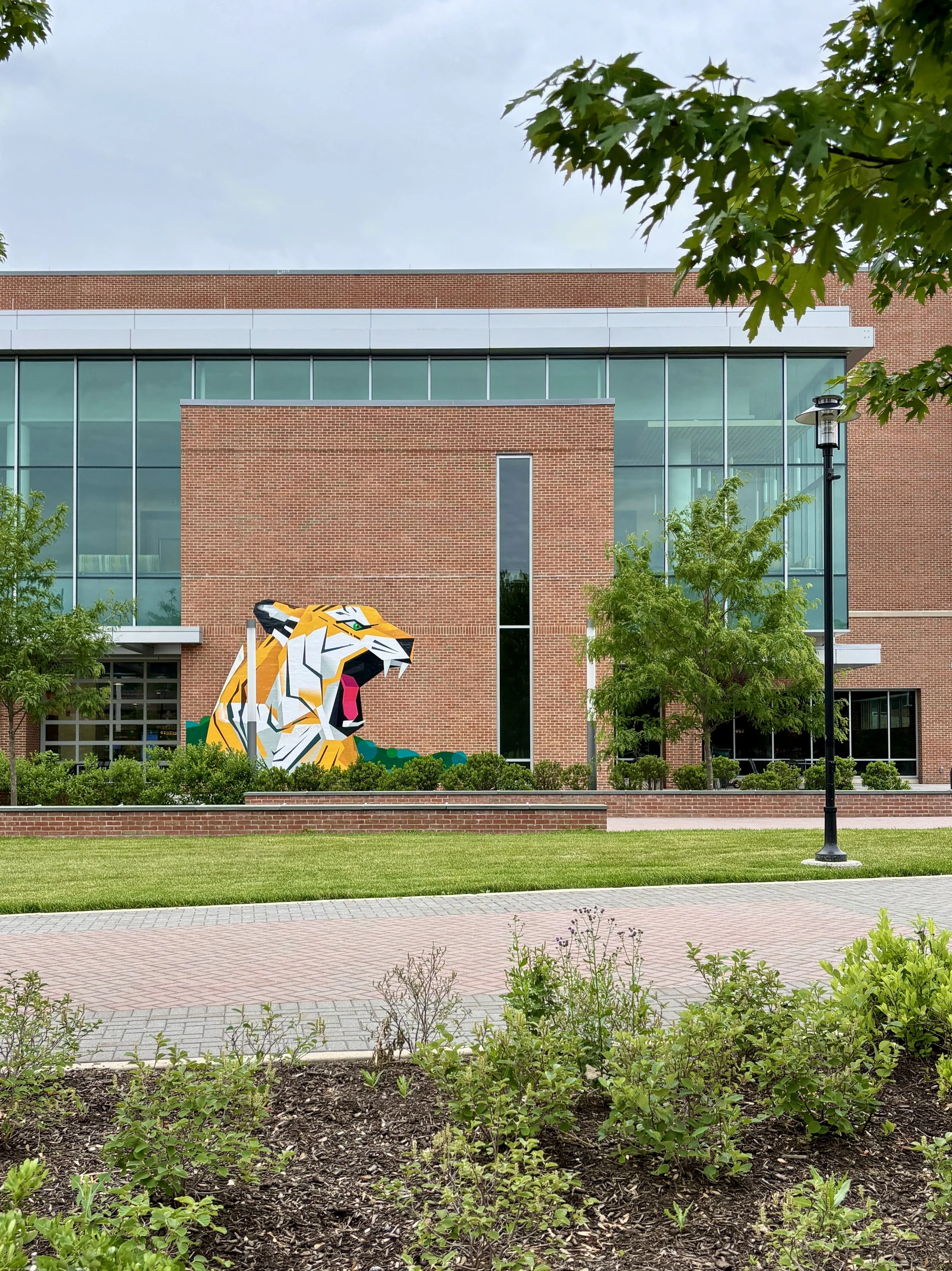 Exterior Tiger mural at Towson