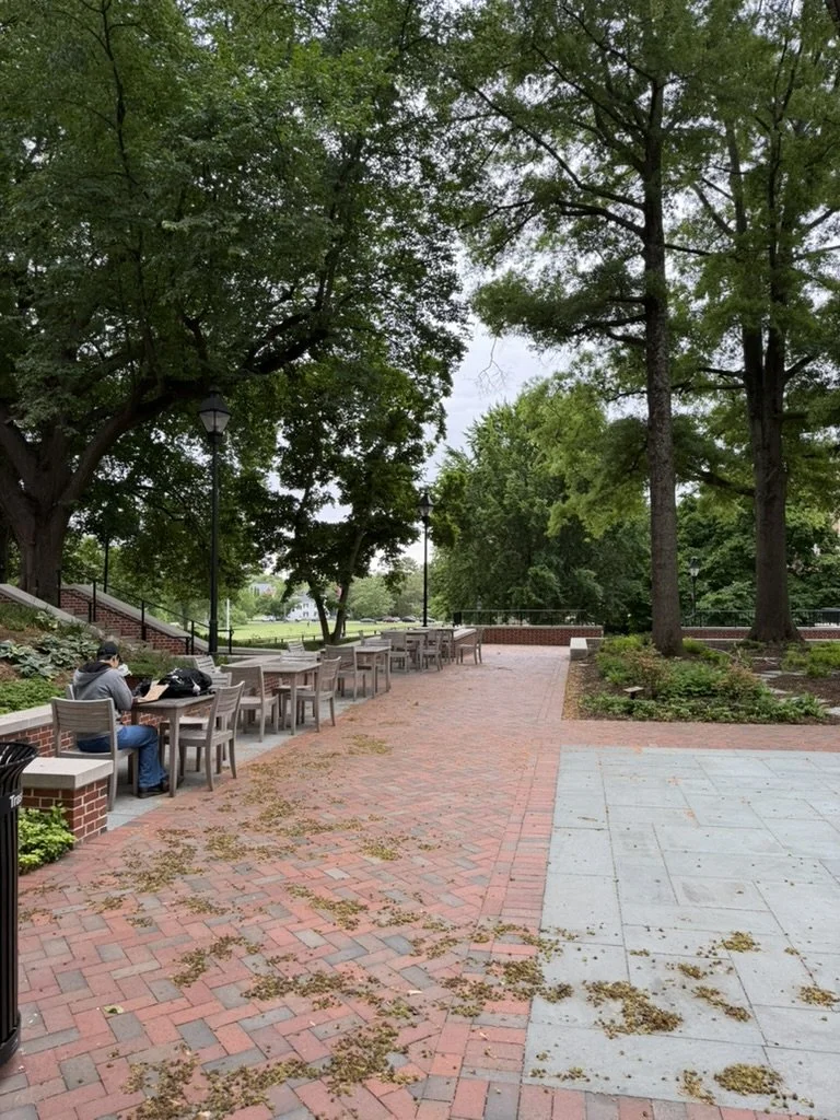 Student studying outside at Washington College