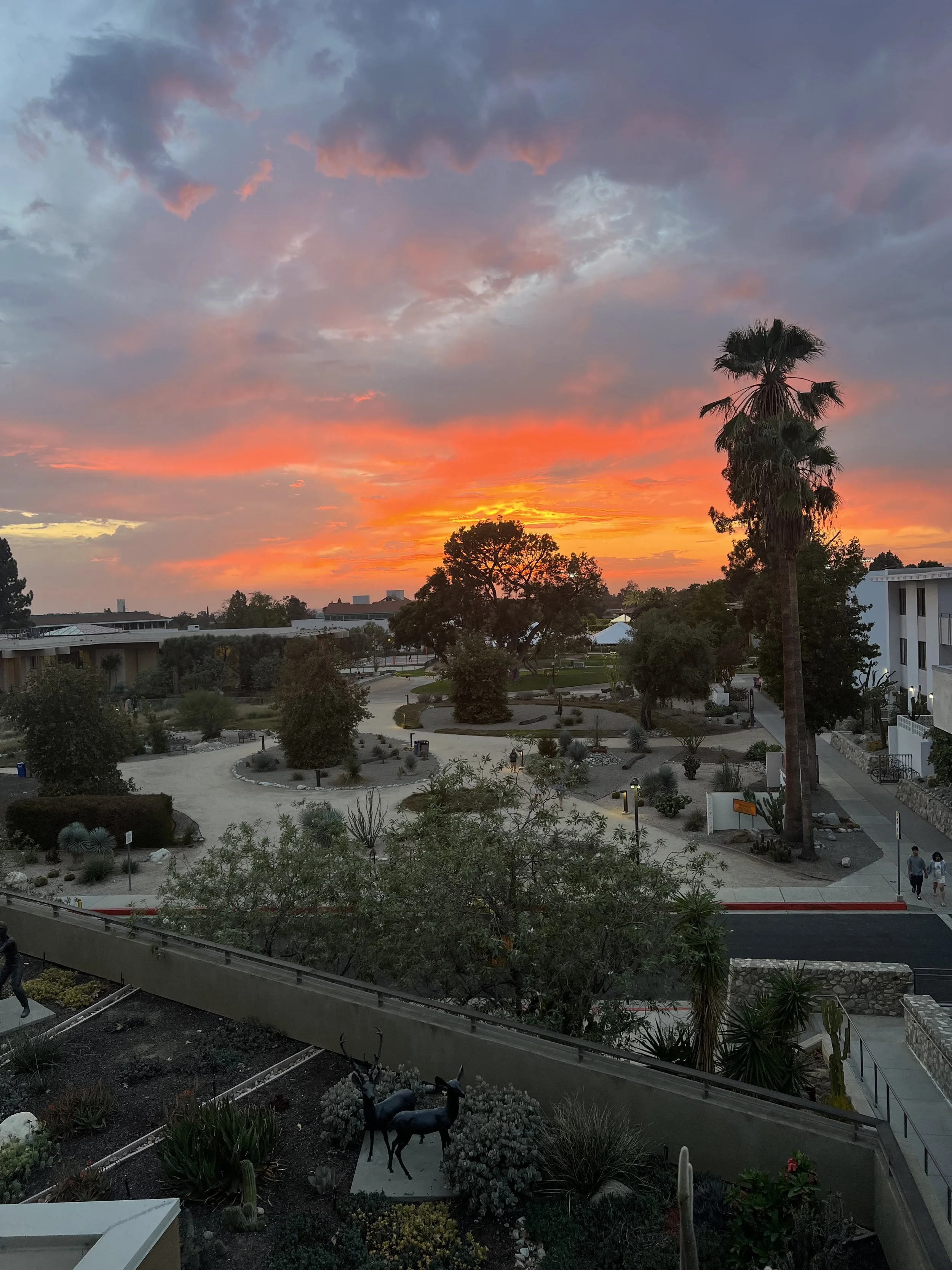Cal Poly SLO sunset
