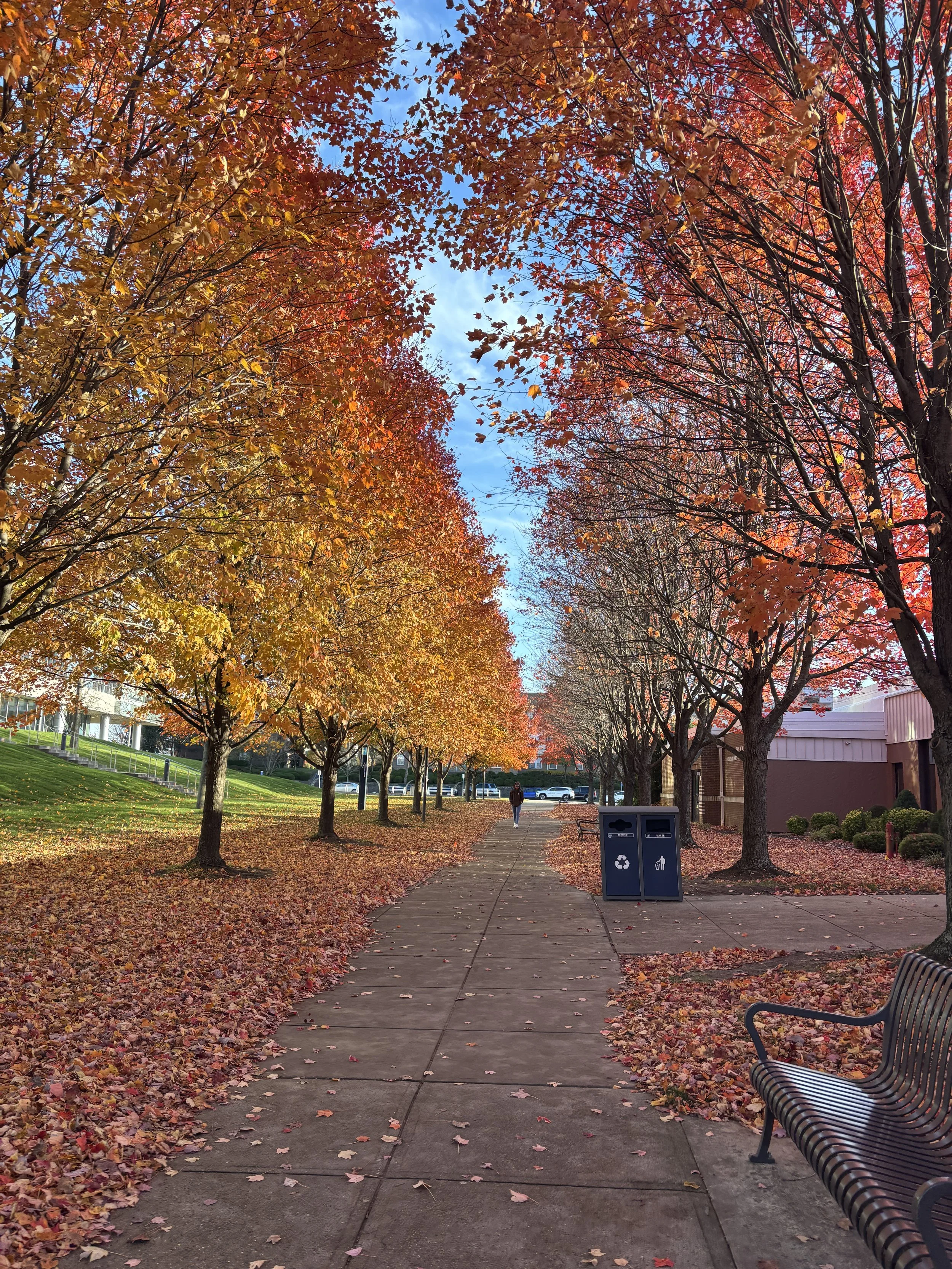Autumn on Johnson & Wales Campus