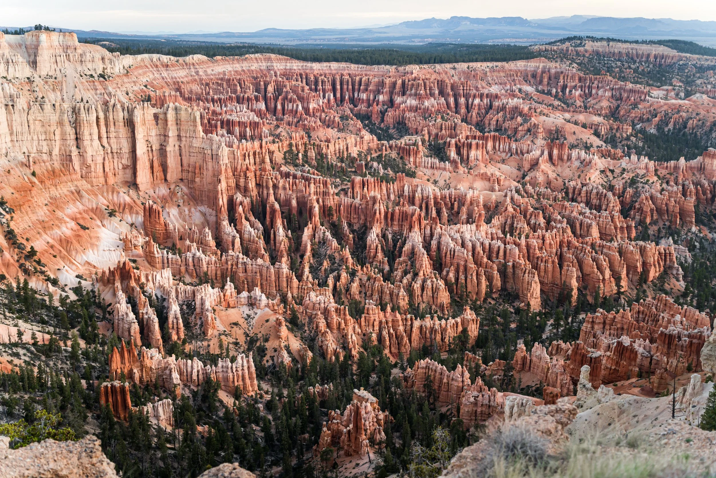 WCBryce2026-59.jpg