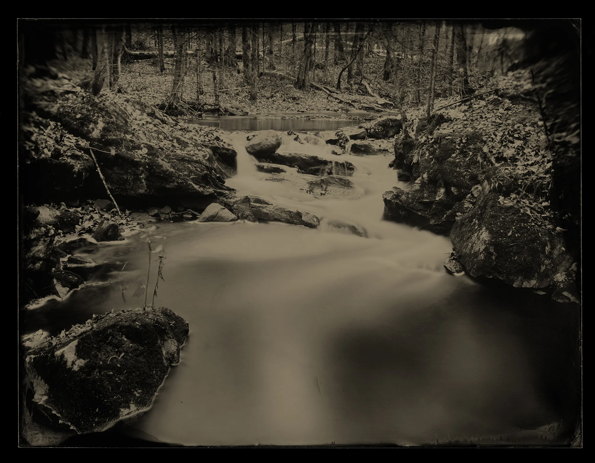 Brule Photography_Plate_399V_CCRT_website.jpg