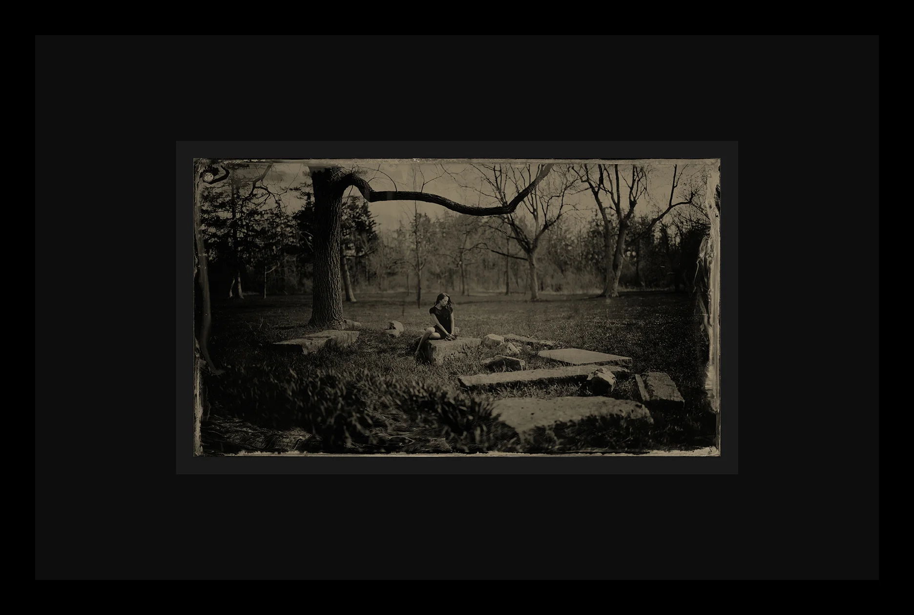 Plate_553V frame sample 1 small.jpg