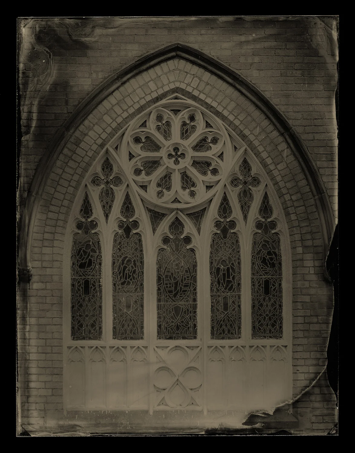 Brule Photography_Plate_542V_CCRT_website.jpg