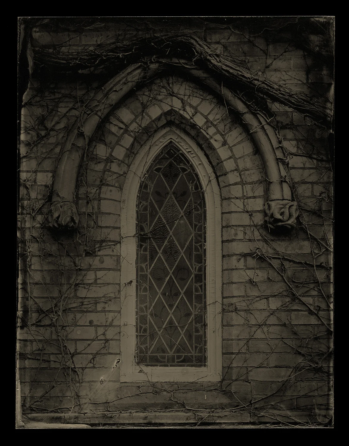 Brule Photography_Plate_540V_CCRT_website.jpg