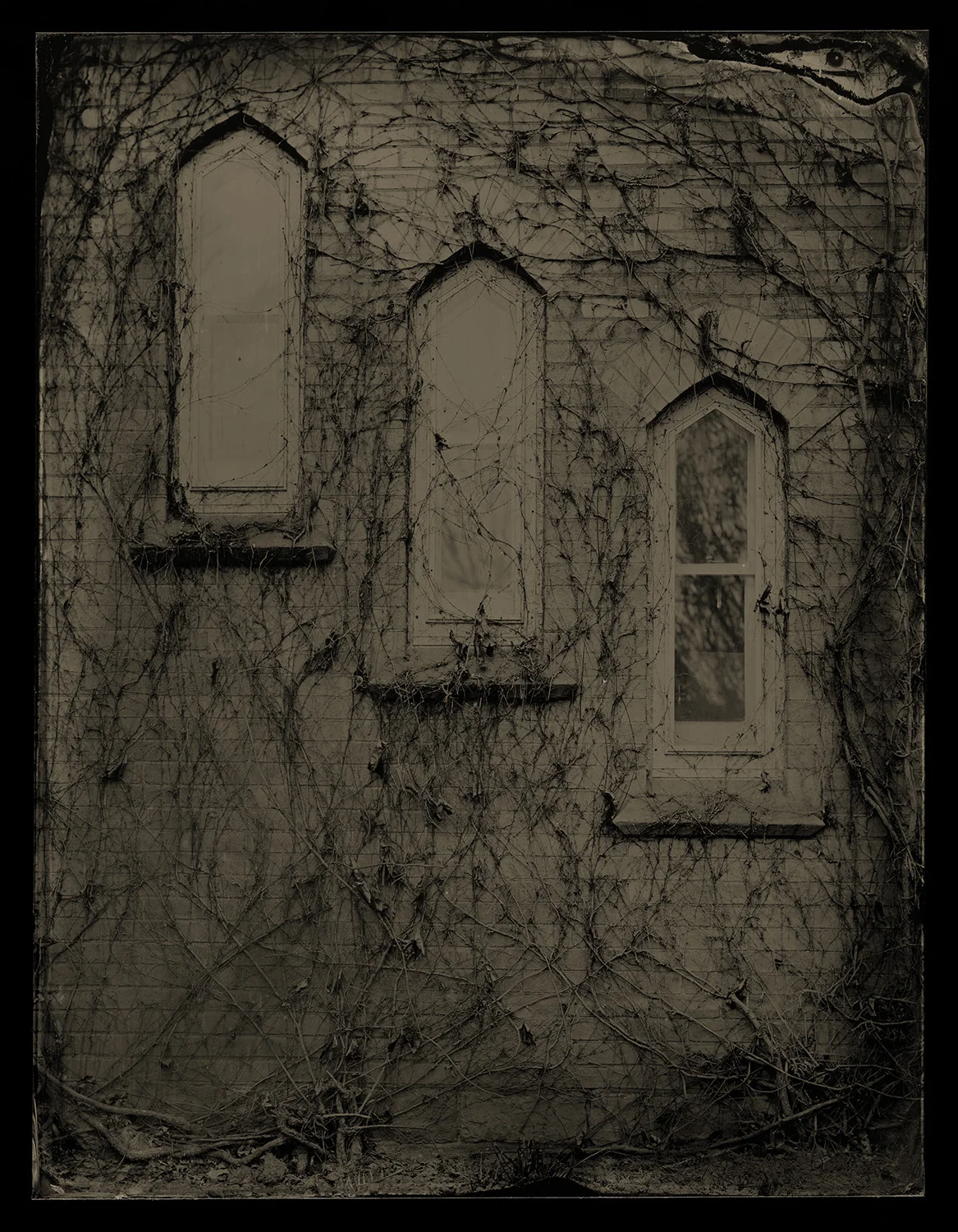 Brule Photography_Plate_539V_CCRT_website.jpg