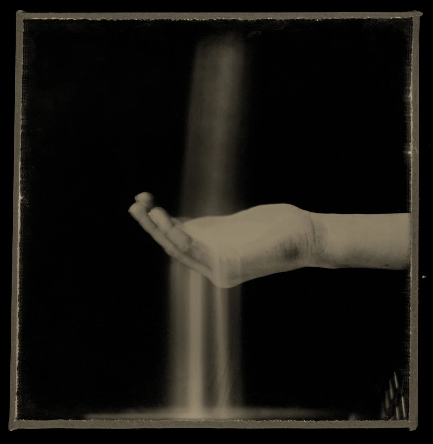 Plate_901_CCRT uncropped_sample.jpg