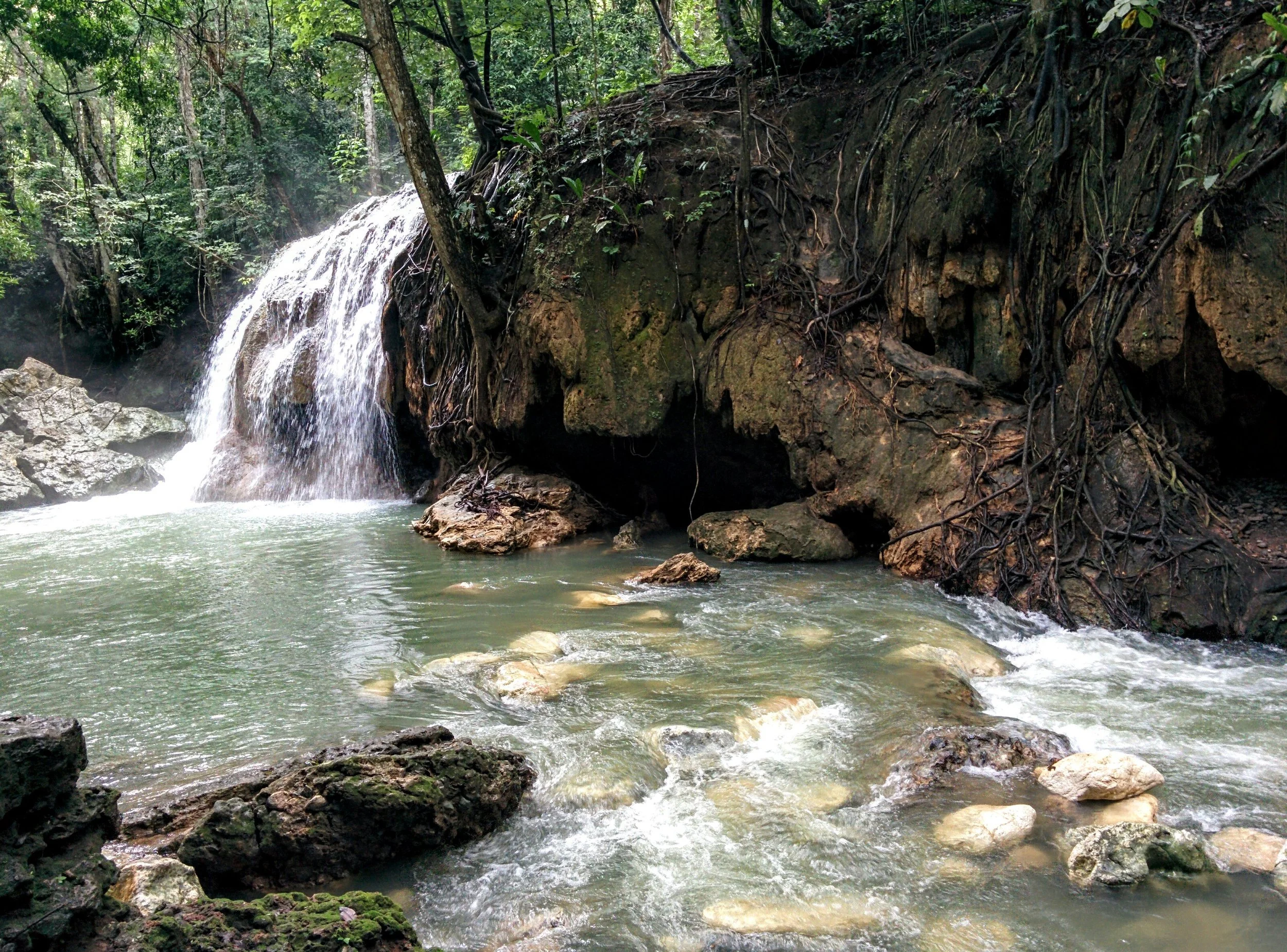 Finca Paraiso
