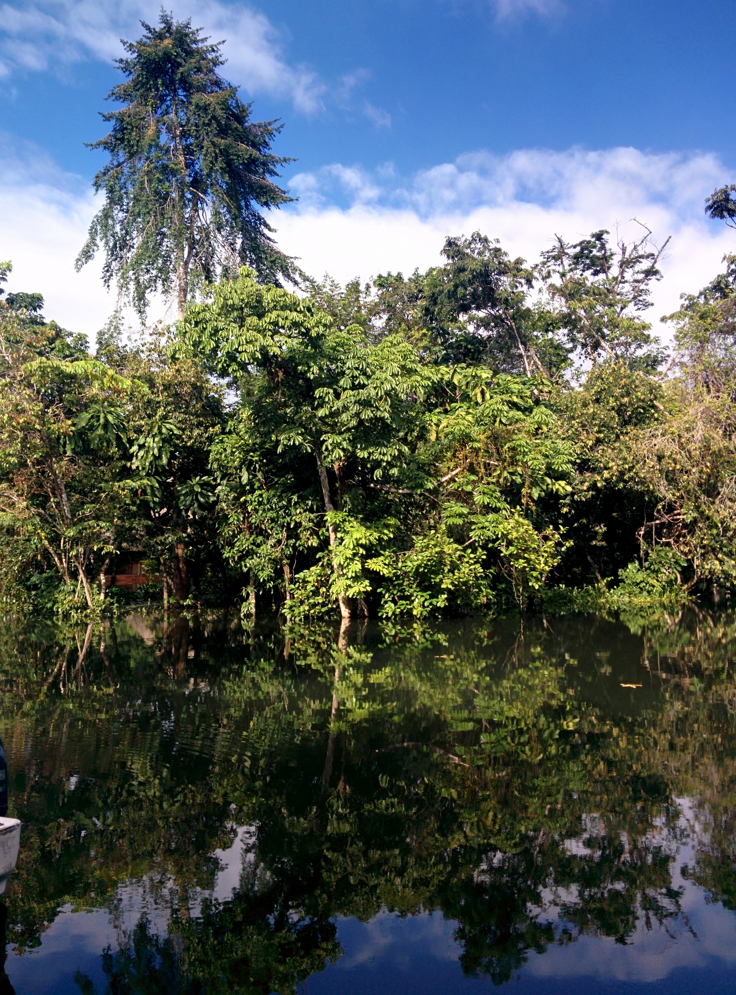 Rio Dulce...a little flooded