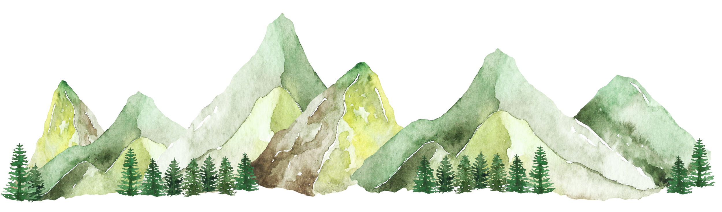 Watercolors by Margarita. Top photo by Brady Bellini