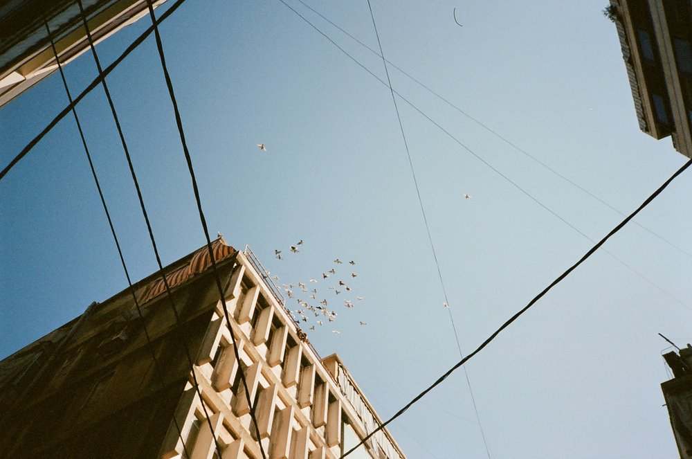 photo by Karim Kassem | cover photo by Osman Rana