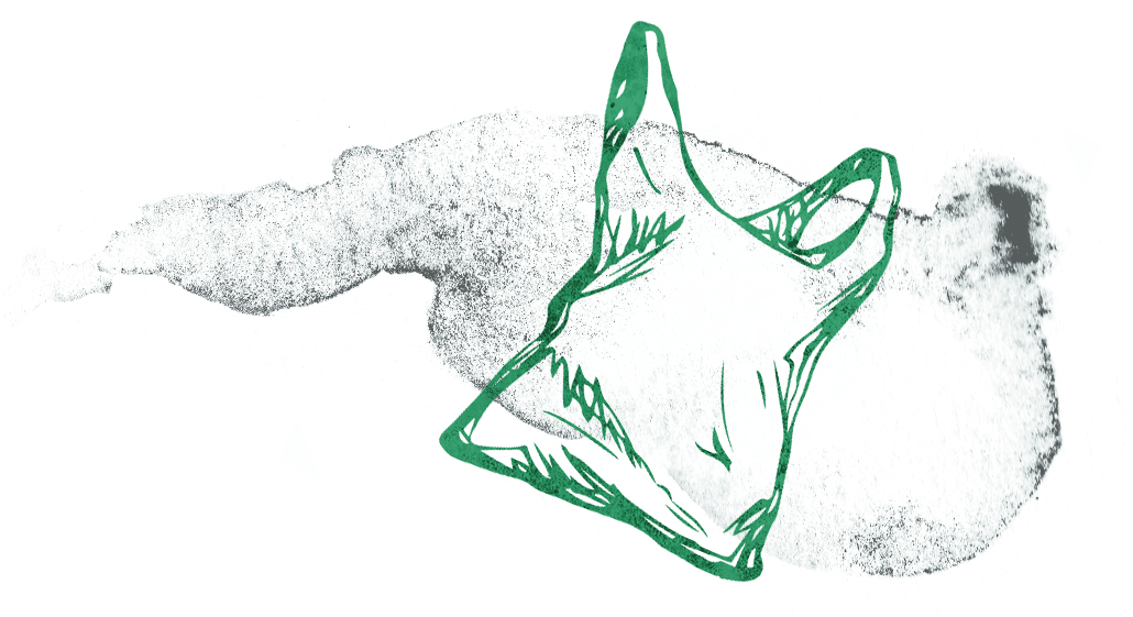plastic bag graphic.jpg