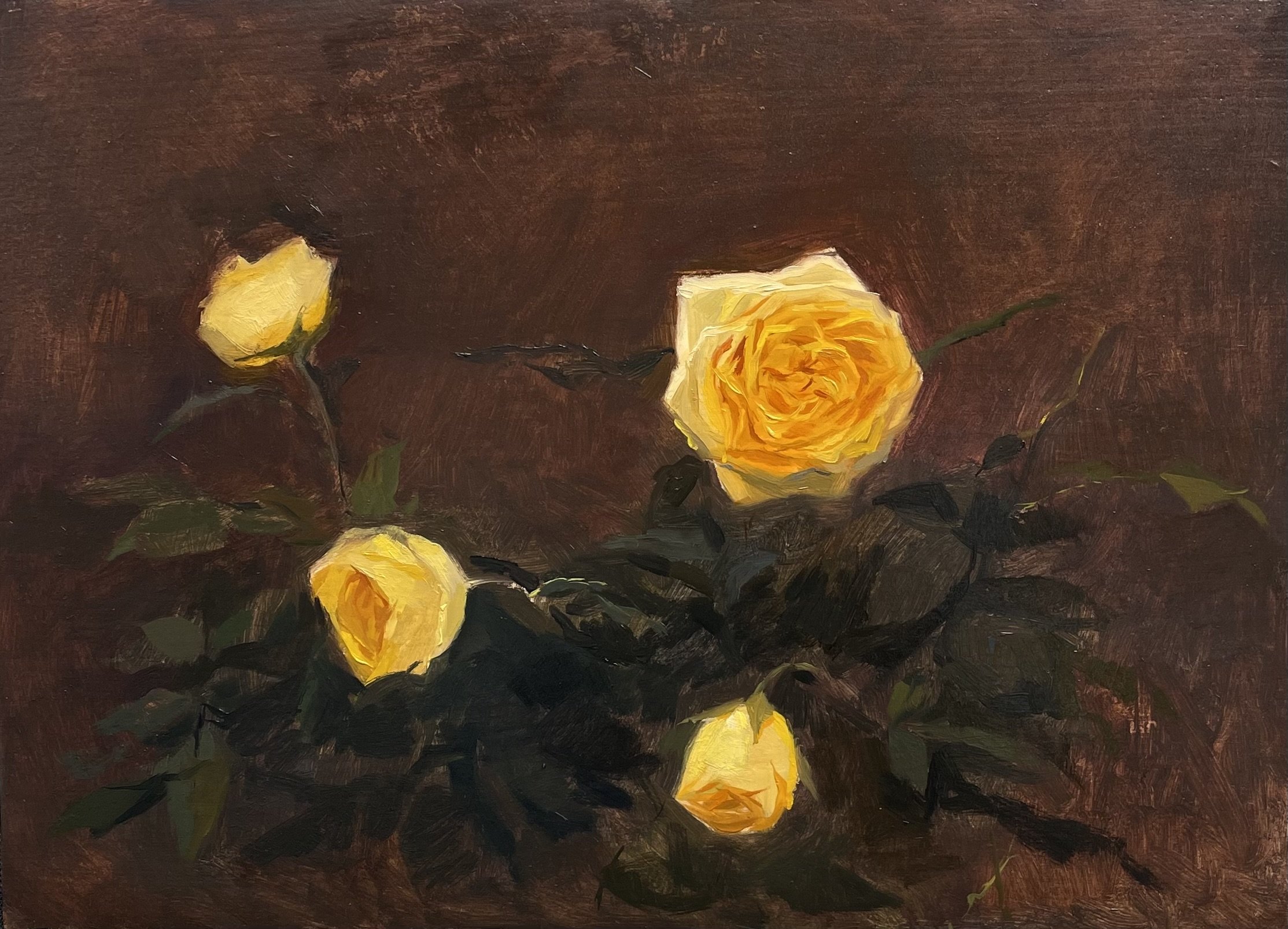 'Yellow roses'