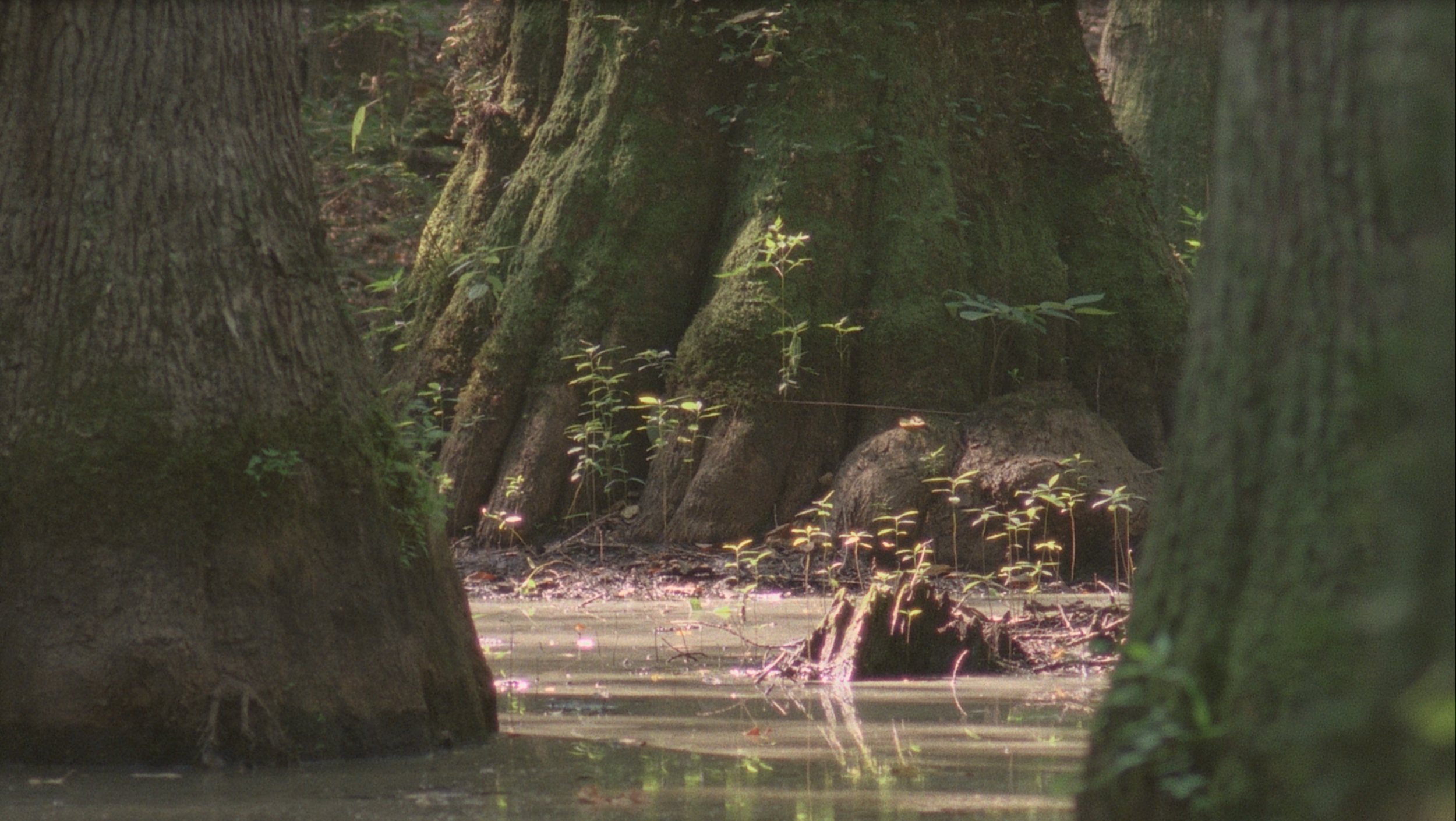 Screen Shot 2016-08-14 at 12.17.48 PM.png